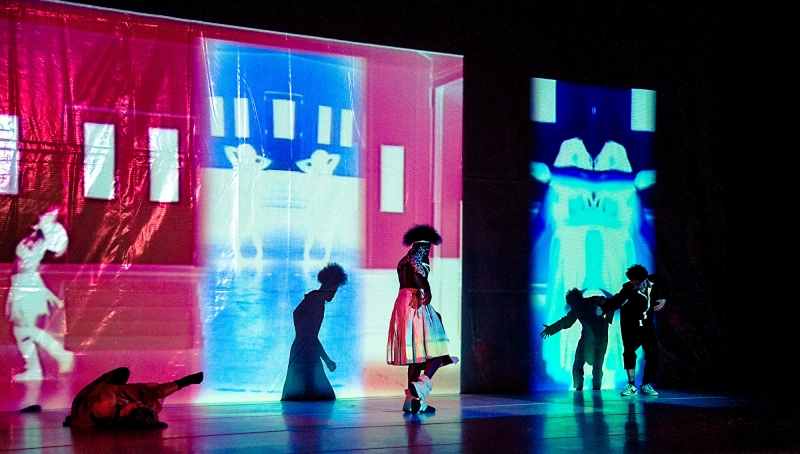 dance-DiMartino-Okus-contemporary-choreographer-web-19-2